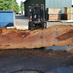 Goby Walnut Products Big Leaf Maple Slab 080921-06