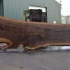 Goby Walnut Products Oregon Black Walnut Slab 091521-08