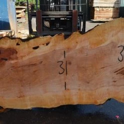 Goby Walnut Products Big Leaf Maple Slab 080921-06
