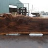 Goby Walnut Products Oregon Black Walnut Slab 091521-10