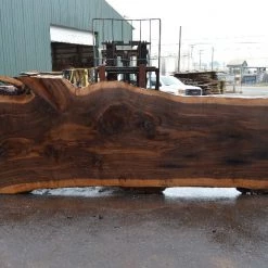 Goby Walnut Products Oregon Black Walnut Slab 091521-10