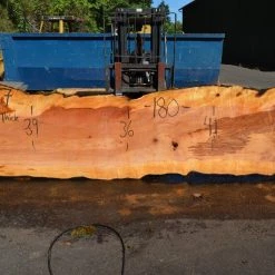 Goby Walnut Products Green Slabs Big Leaf Maple Slab 080921-07