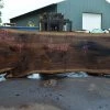 Goby Walnut Products Oregon Black Walnut Slab 091521-11 Green Slabs