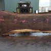 Goby Walnut Products Oregon Black Walnut Slab 091521-12 Green Slabs