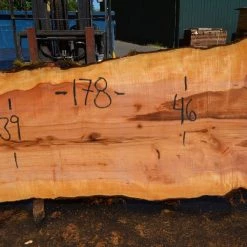Goby Walnut Products Big Leaf Maple Slab 080921-09