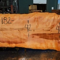 Goby Walnut Products Big Leaf Maple Slab 080921-10 Green Slabs