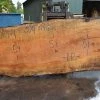 Goby Walnut Products Green Slabs Big Leaf Maple Slab 092021-01