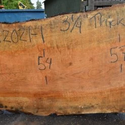 Goby Walnut Products Green Slabs Big Leaf Maple Slab 092021-01