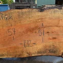 Goby Walnut Products Green Slabs Big Leaf Maple Slab 092021-01