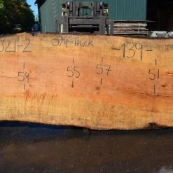 Goby Walnut Products Big Leaf Maple Slab 092021-02