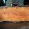 Goby Walnut Products Big Leaf Maple Slab 092021-03