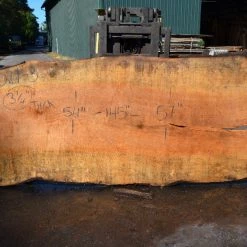 Goby Walnut Products Big Leaf Maple Slab 092021-03