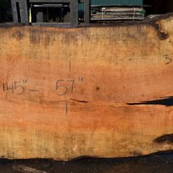 Goby Walnut Products Big Leaf Maple Slab 092021-03