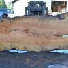 Goby Walnut Products Big Leaf Maple Slab 092021-04