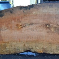 Goby Walnut Products Big Leaf Maple Slab 092021-04