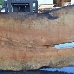 Goby Walnut Products Big Leaf Maple Slab 092021-04