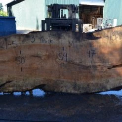 Goby Walnut Products Big Leaf Maple Slab 092021-05 Green Slabs