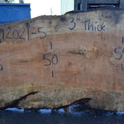 Goby Walnut Products Big Leaf Maple Slab 092021-05 Green Slabs