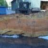 Goby Walnut Products Big Leaf Maple Slab 092021-06 Green Slabs