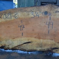 Goby Walnut Products Big Leaf Maple Slab 092021-06 Green Slabs