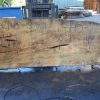 Goby Walnut Products Big Leaf Maple Slab 092021-08