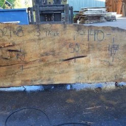 Goby Walnut Products Big Leaf Maple Slab 092021-08