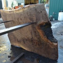 Goby Walnut Products Oregon Black Walnut 092121-08