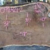 Goby Walnut Products Green Slabs Oregon Black Walnut Slab 092421-02
