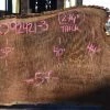 Goby Walnut Products Green Slabs Oregon Black Walnut Slab 092421-03