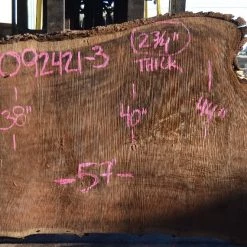 Goby Walnut Products Green Slabs Oregon Black Walnut Slab 092421-03