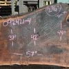 Goby Walnut Products Oregon Black Walnut Slab 092421-04