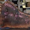 Goby Walnut Products Oregon Black Walnut Slab 092421-06 Green Slabs