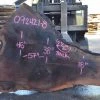 Goby Walnut Products Oregon Black Walnut Slab 092421-08