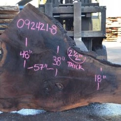 Goby Walnut Products Oregon Black Walnut Slab 092421-08