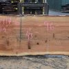 Goby Walnut Products Red Oak Slab 120417-06