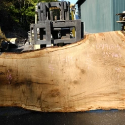 Goby Walnut Products Oregon White Oak Slab 091918-05