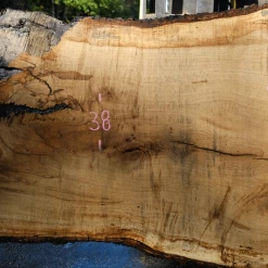 Goby Walnut Products Oregon White Oak Slab 091918-05