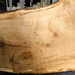 Goby Walnut Products Oregon White Oak Slab 091918-05