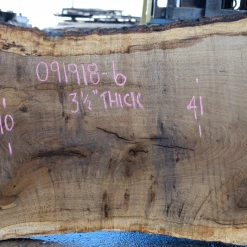 Goby Walnut Products Green Slabs Oregon White Oak Slab 091918-06