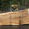 Goby Walnut Products Oregon White Oak Slab 091918-07 Green Slabs