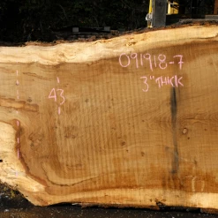 Goby Walnut Products Oregon White Oak Slab 091918-07 Green Slabs