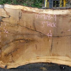 Goby Walnut Products Oregon White Oak Slab 091918-09