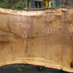 Goby Walnut Products Oregon White Oak Slab 091918-09