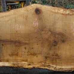 Goby Walnut Products Oregon White Oak Slab 091918-10 Green Slabs