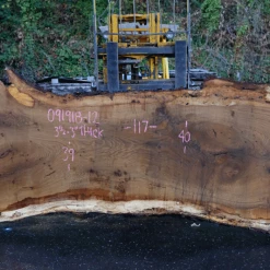 Goby Walnut Products Oregon White Oak Slab 091918-12