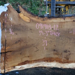 Goby Walnut Products Oregon White Oak Slab 091918-12