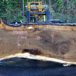 Goby Walnut Products Green Slabs Oregon White Oak Slab 091918-13