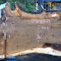 Goby Walnut Products Green Slabs Oregon White Oak Slab 091918-13