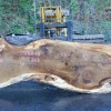 Goby Walnut Products Green Slabs Oregon White Oak Slab 091918-14