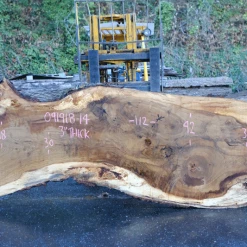 Goby Walnut Products Green Slabs Oregon White Oak Slab 091918-14